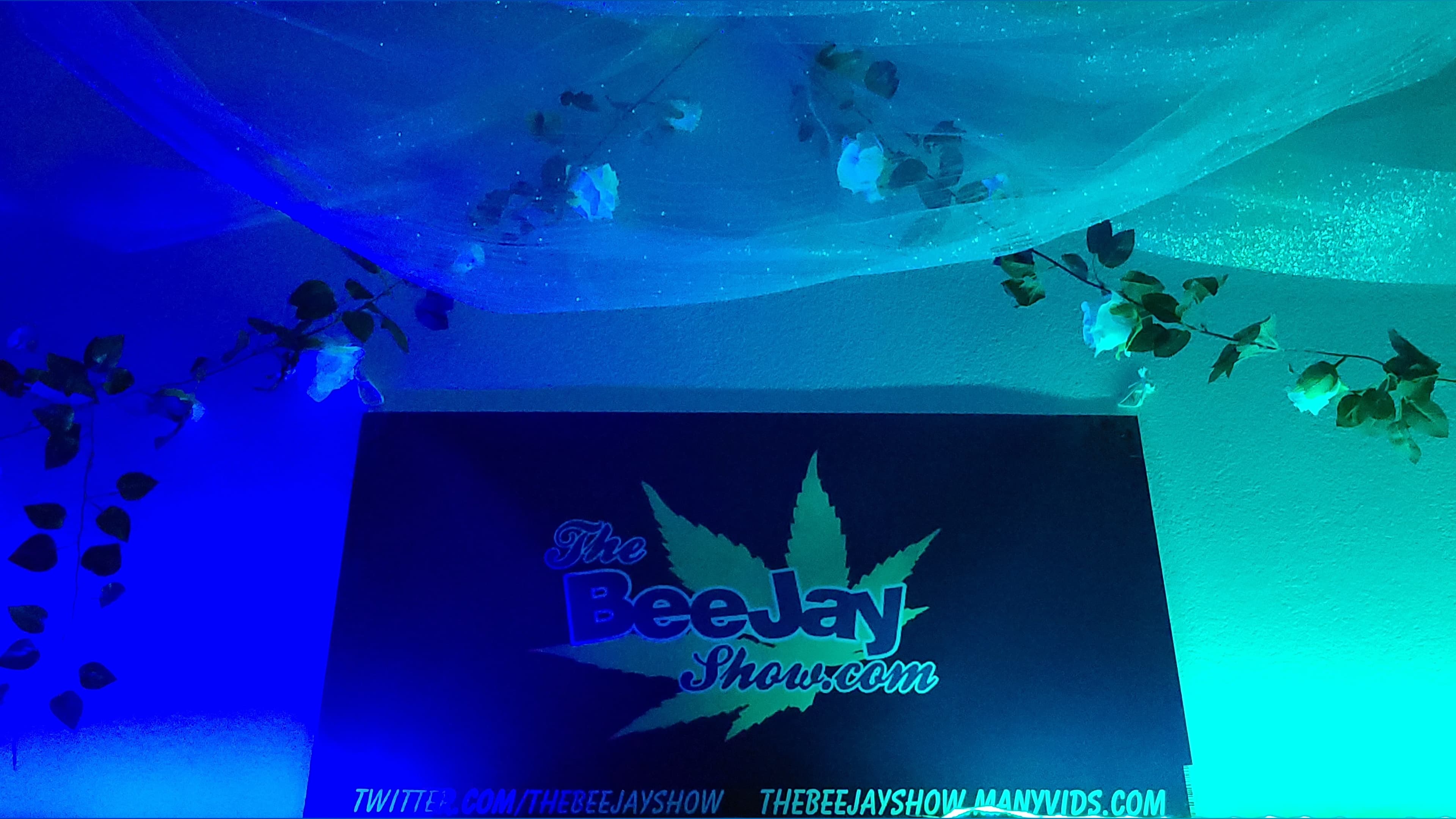 TheBeeJayShowFREE banner image