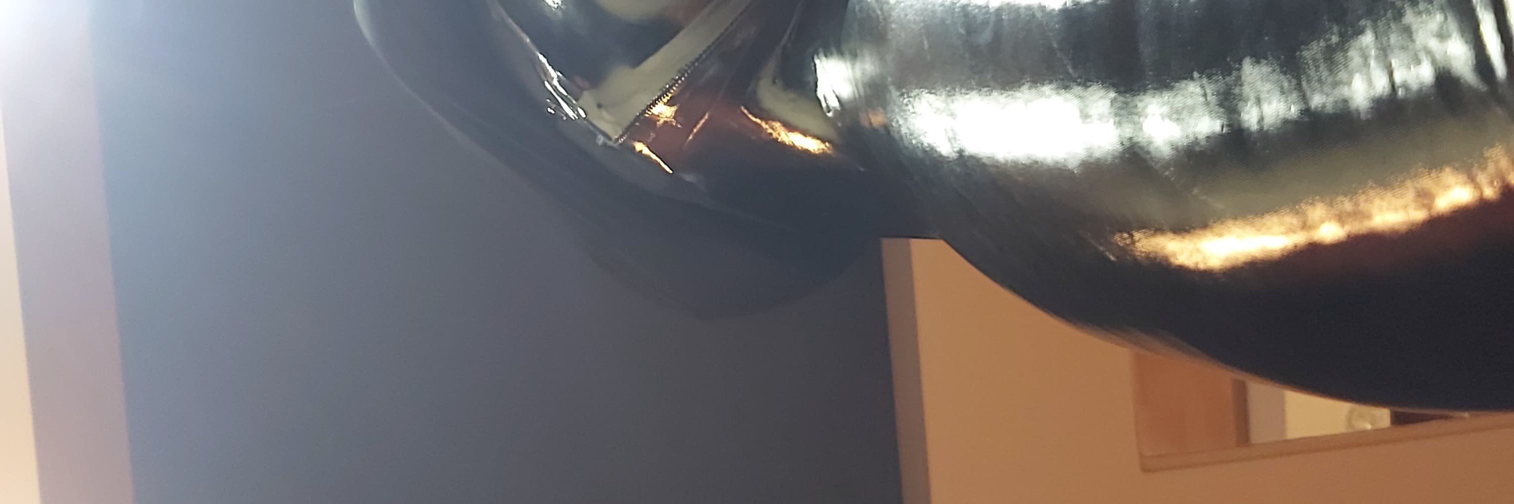 Alexandra Pividorwy banner image
