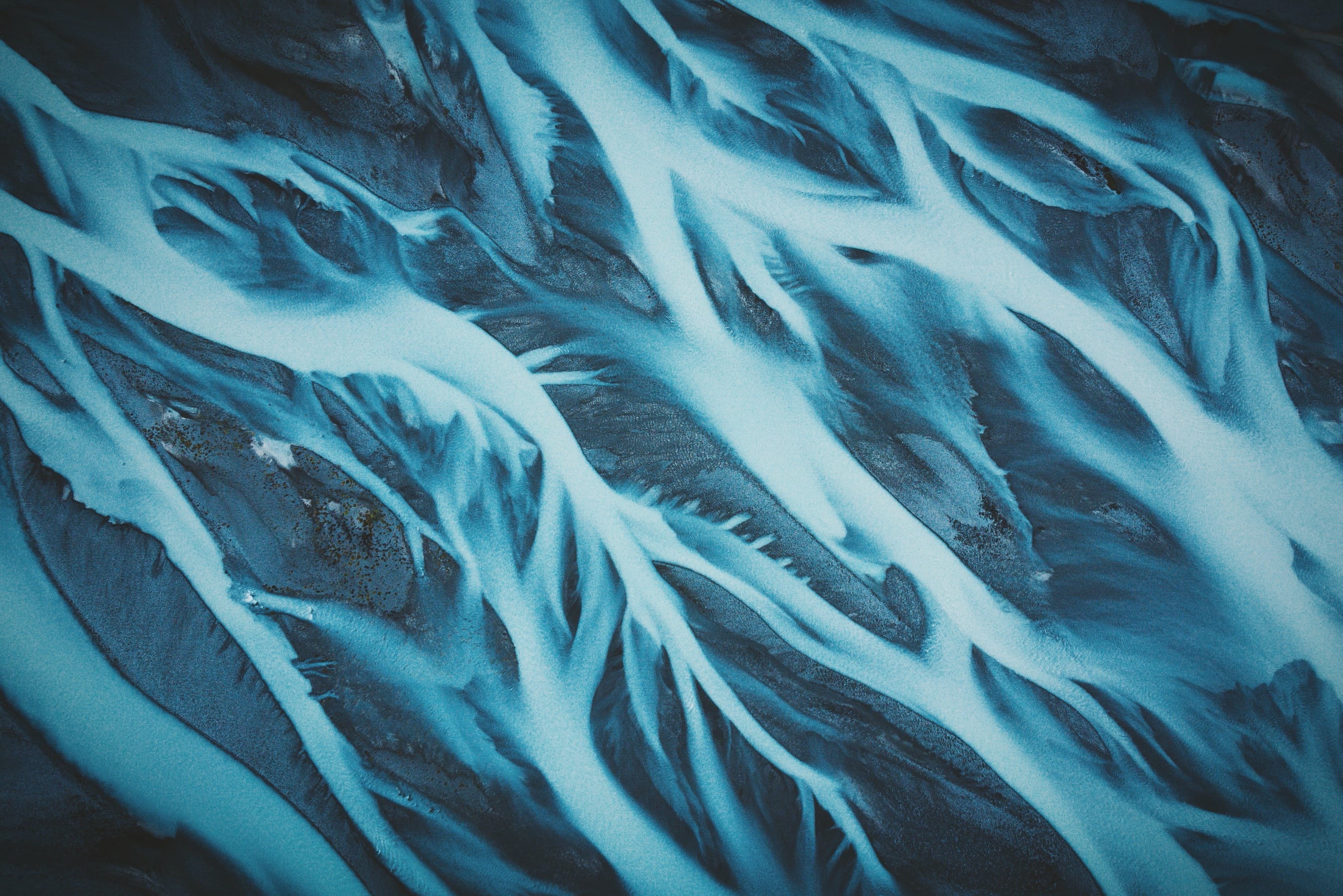 Nora Larsson banner image