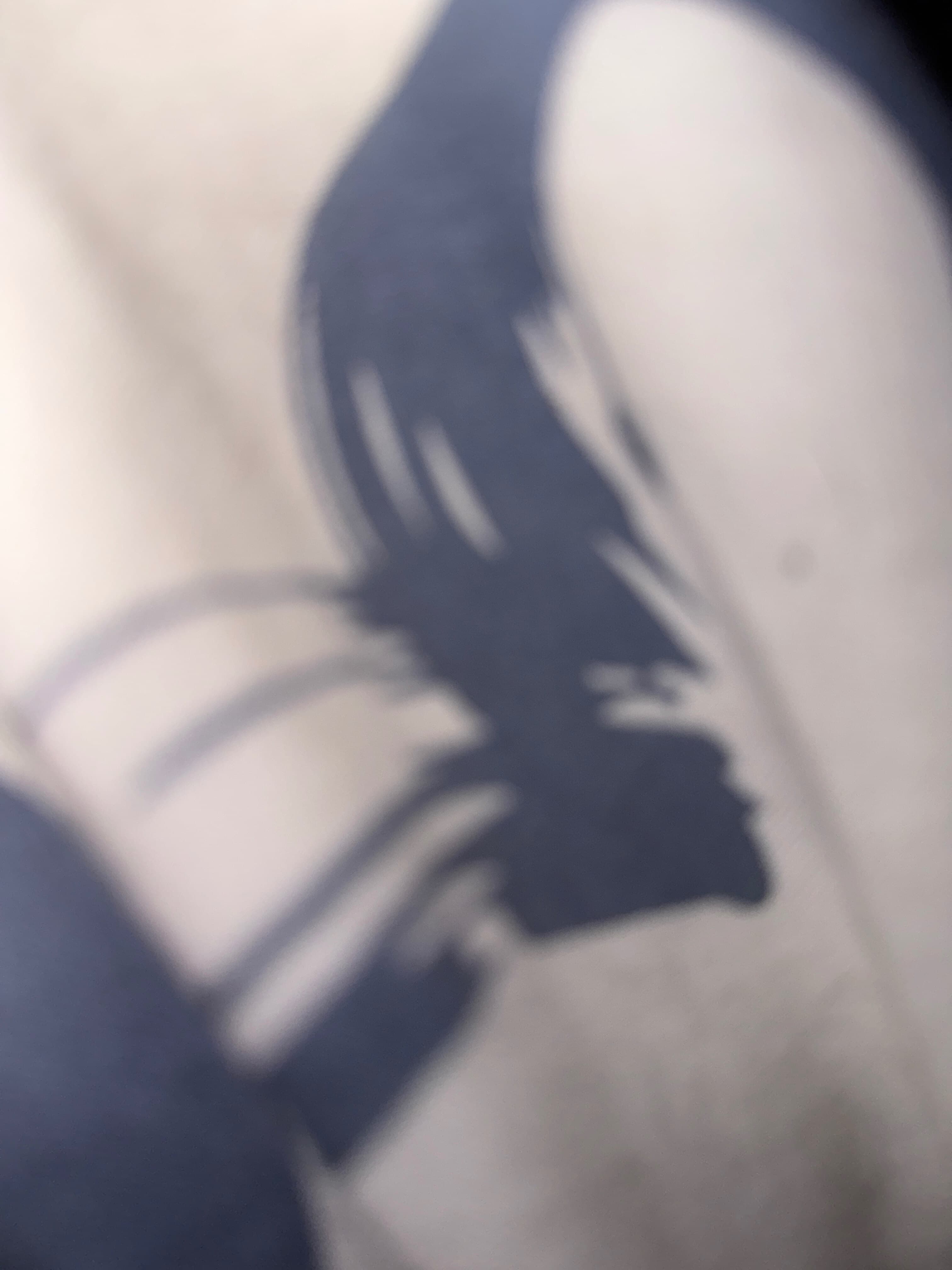 Baird G banner image