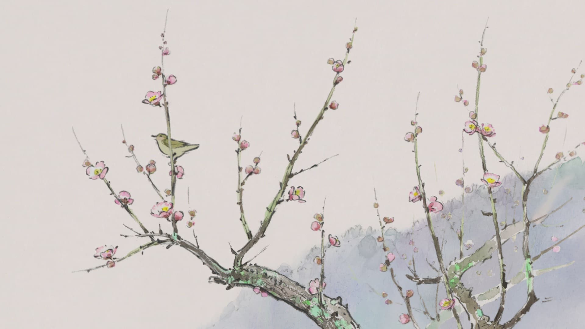 Victoria Vera banner image