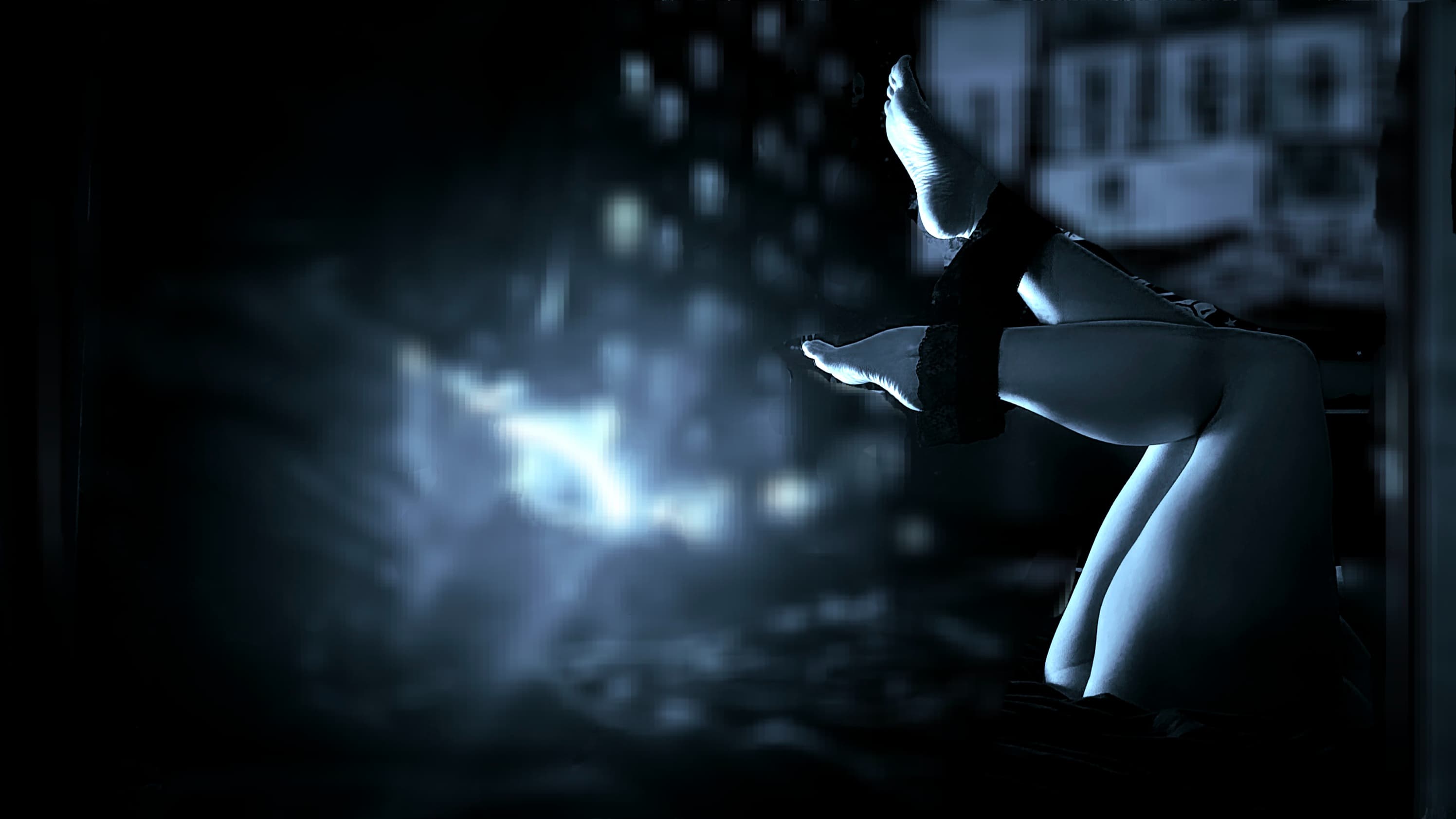 π¦π€ The Midnight Peacock π€π¦ banner image