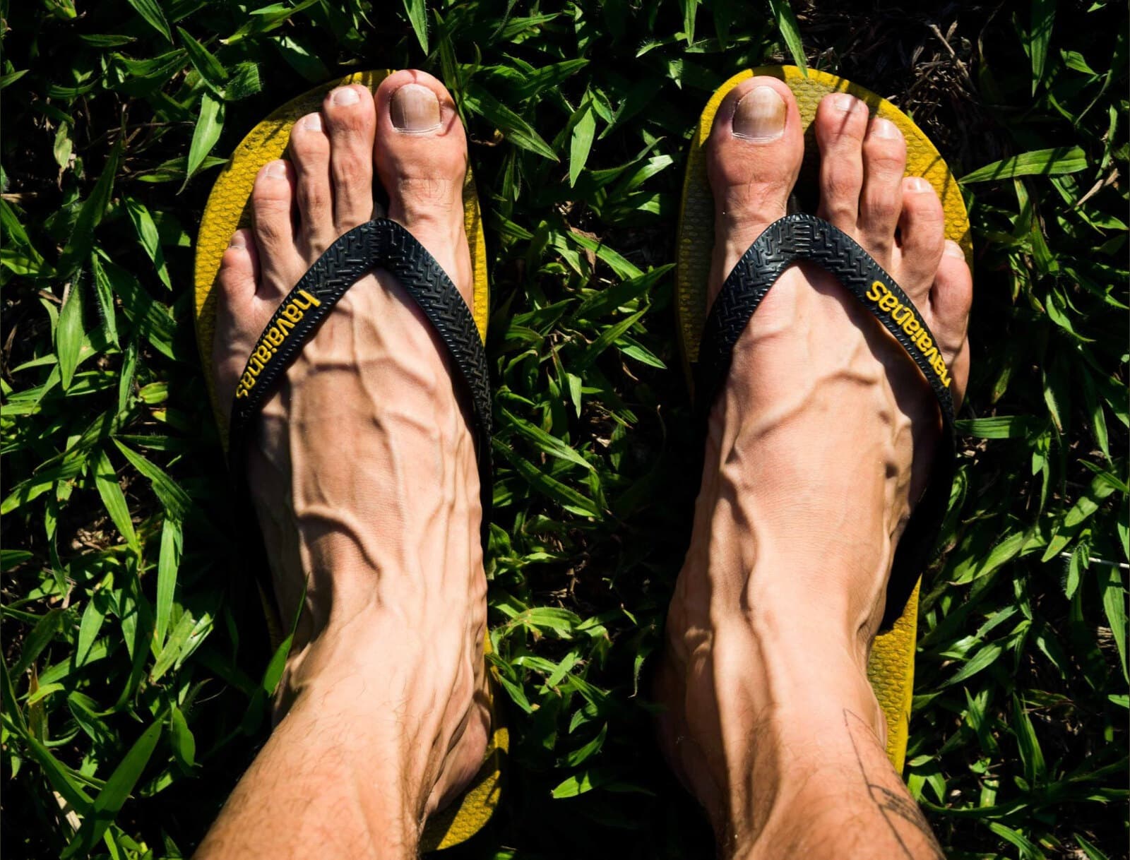 Slevin K. banner image