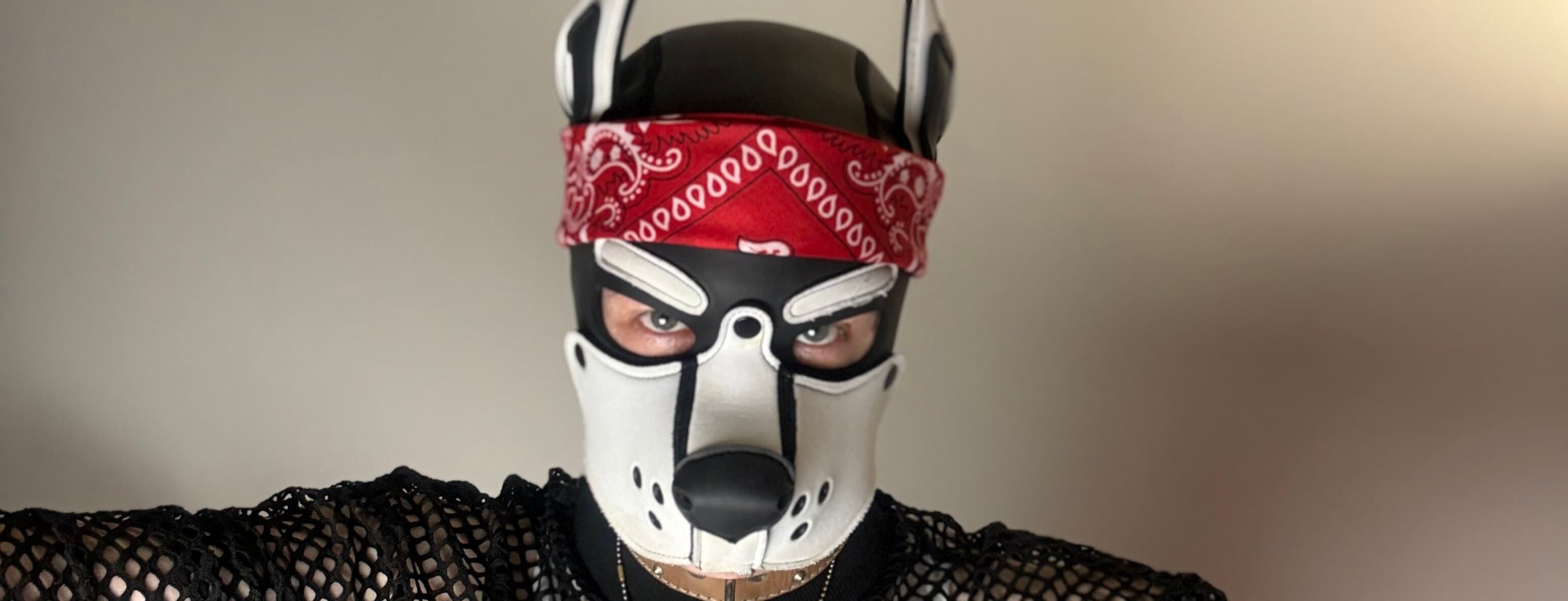 Andre Dox banner image