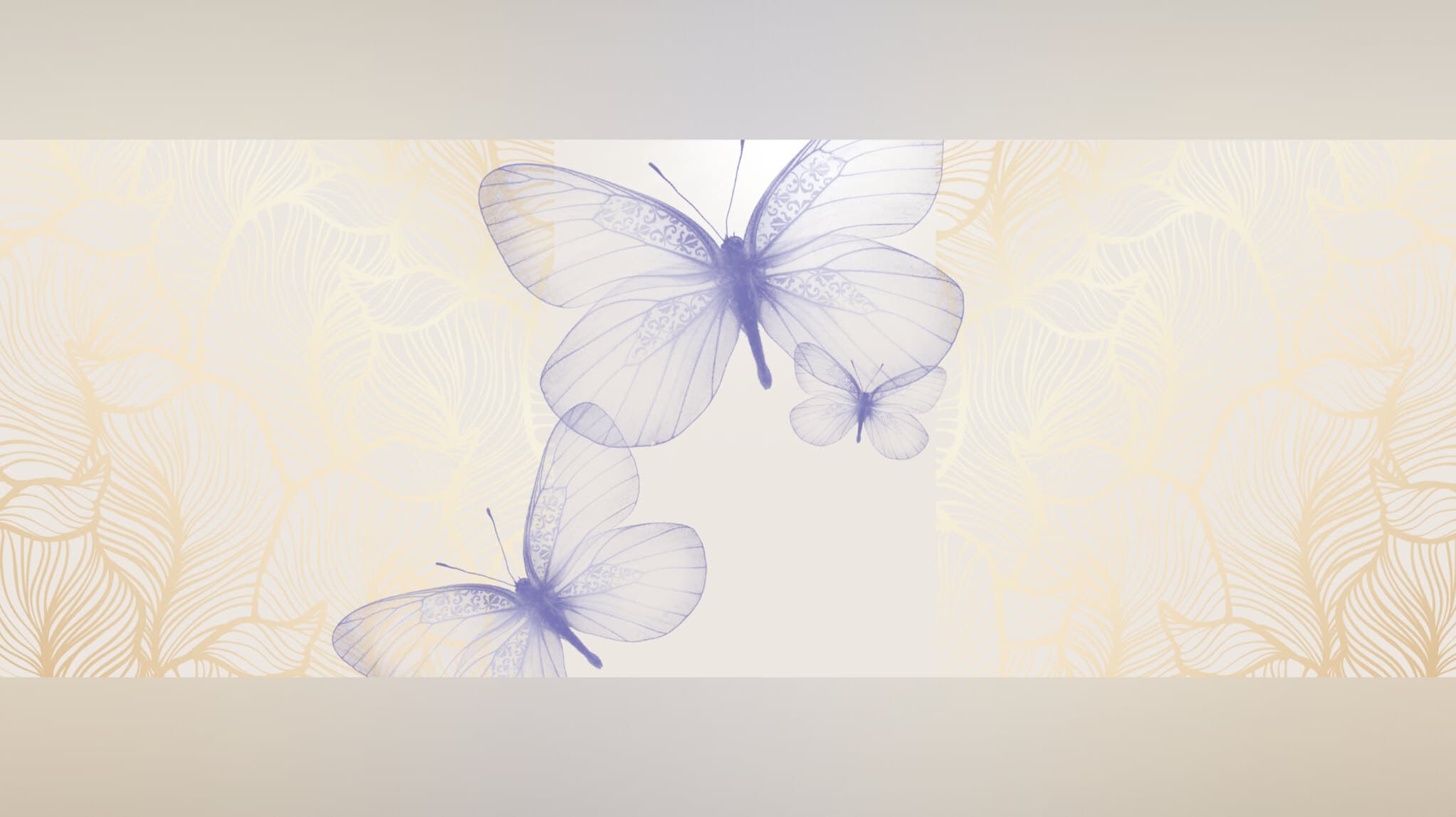 Bella Miyah banner image