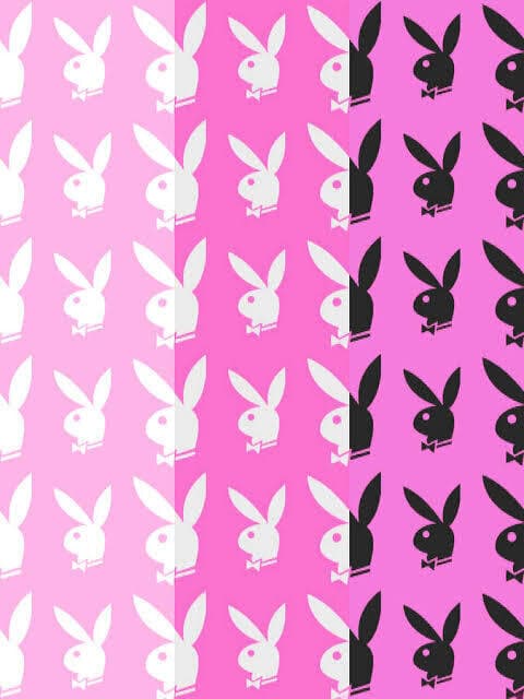 Fergielyne banner image