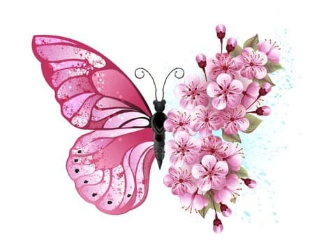 Mariposa banner image
