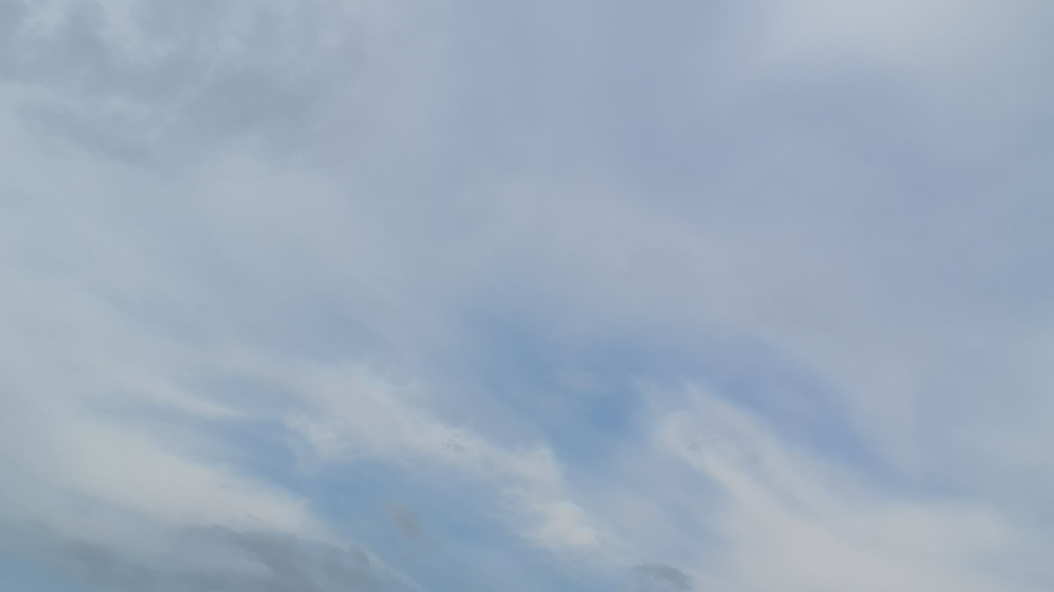 Mankhelekwen 🐇 banner image