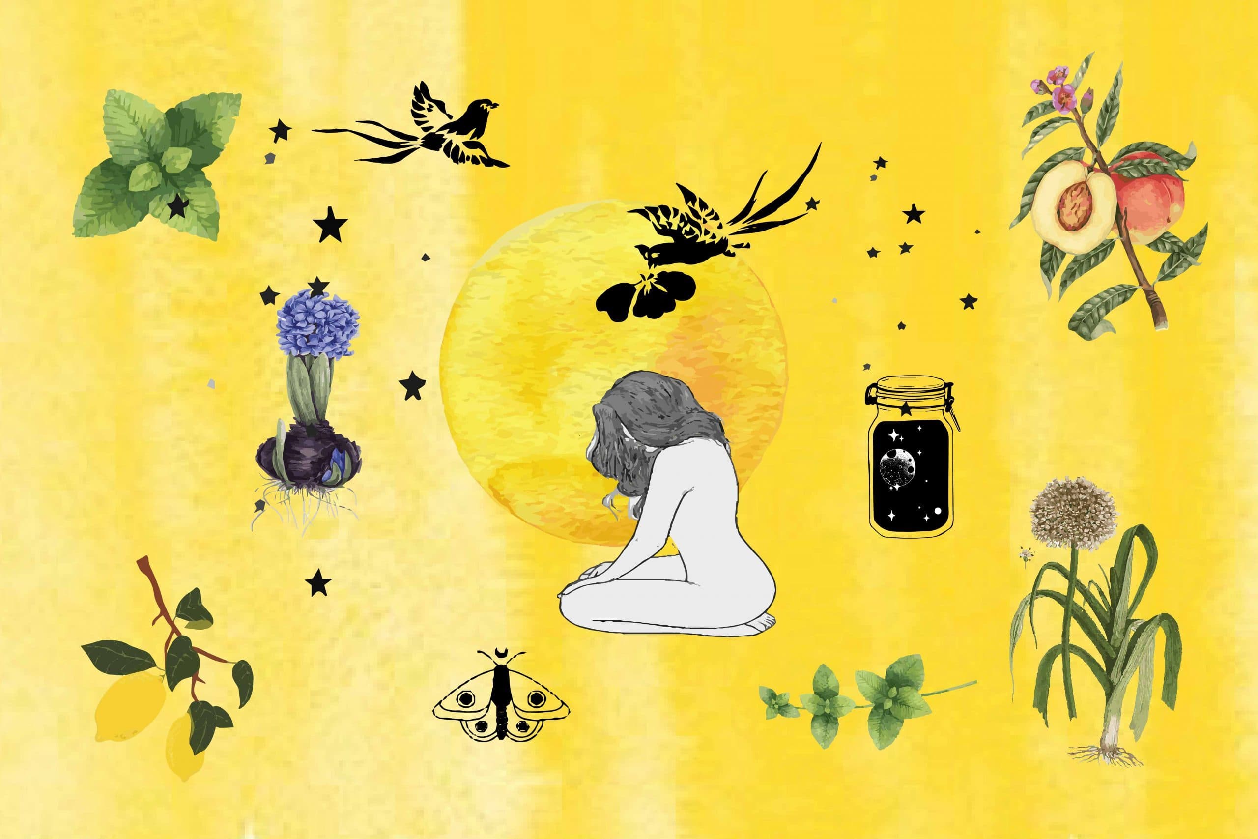Fern banner image