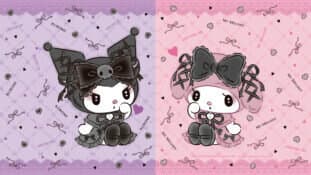 kitty banner image
