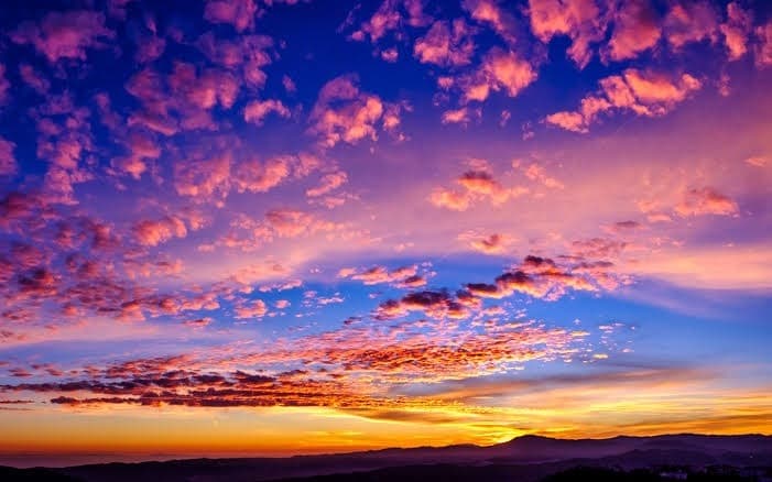 Chris banner image