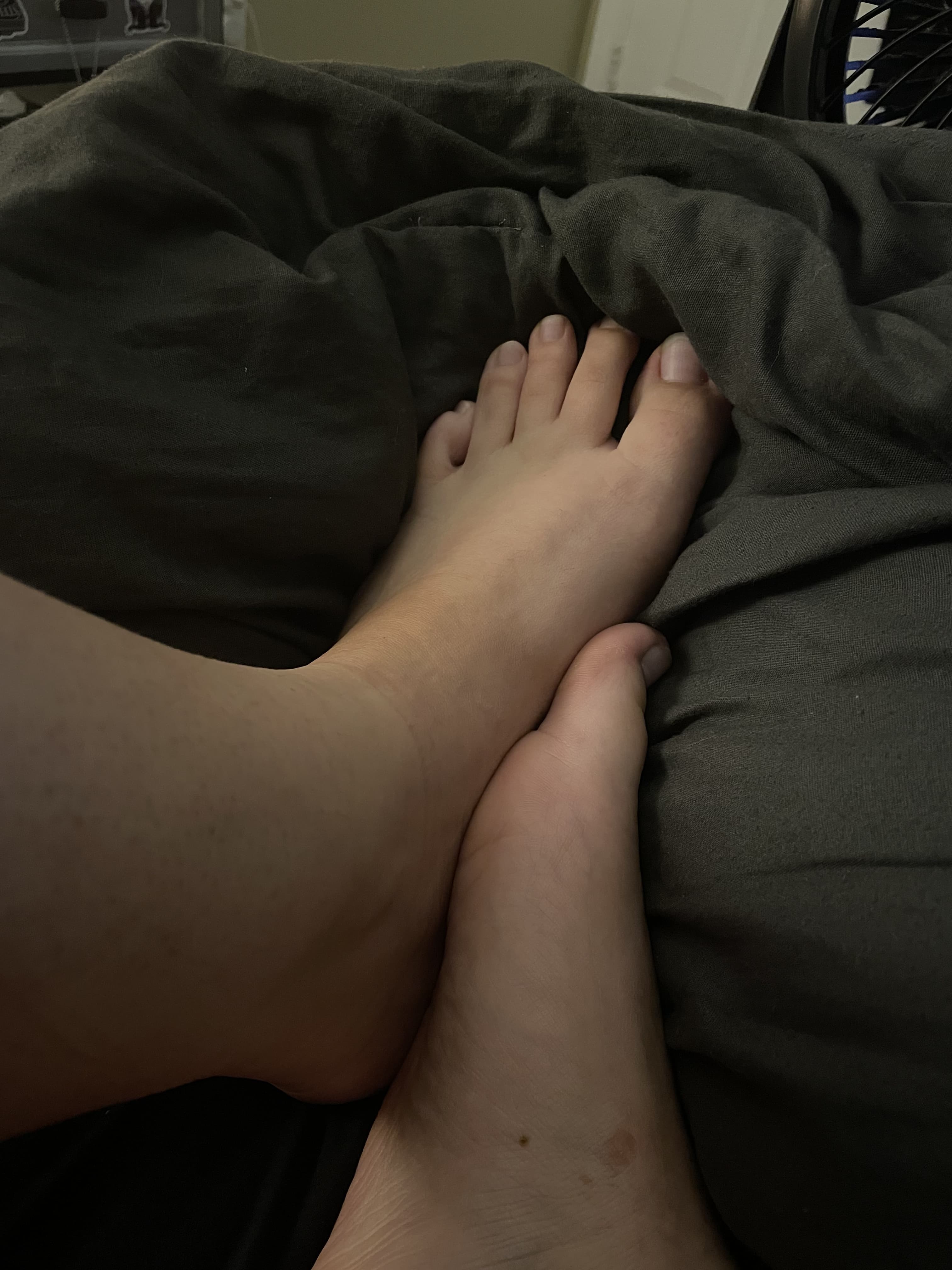 80085 banner image