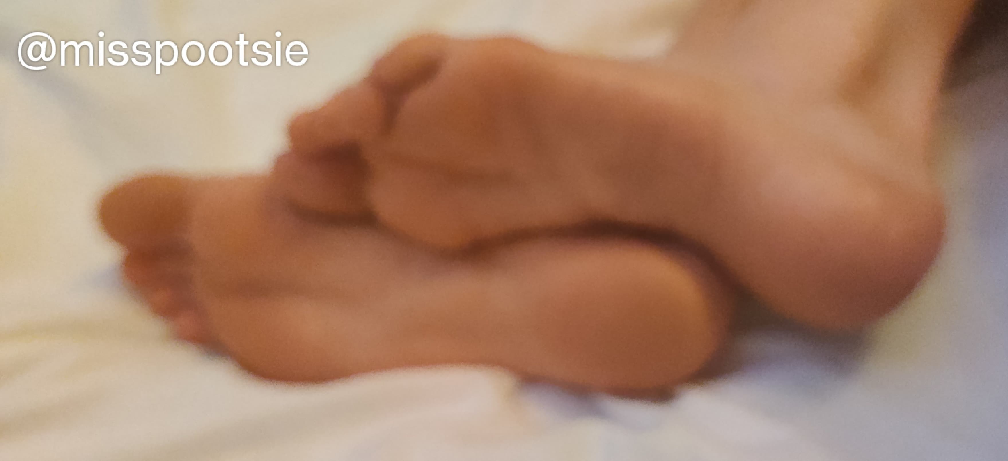 π£ Miss Pootsie π banner image