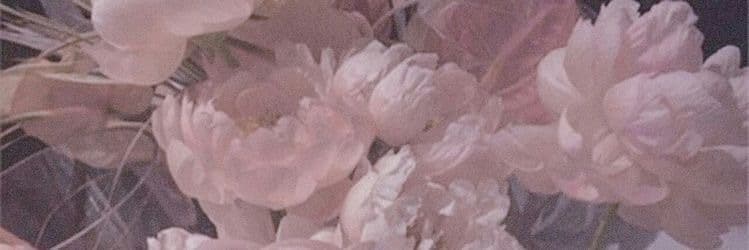 Petal 🌷 banner image