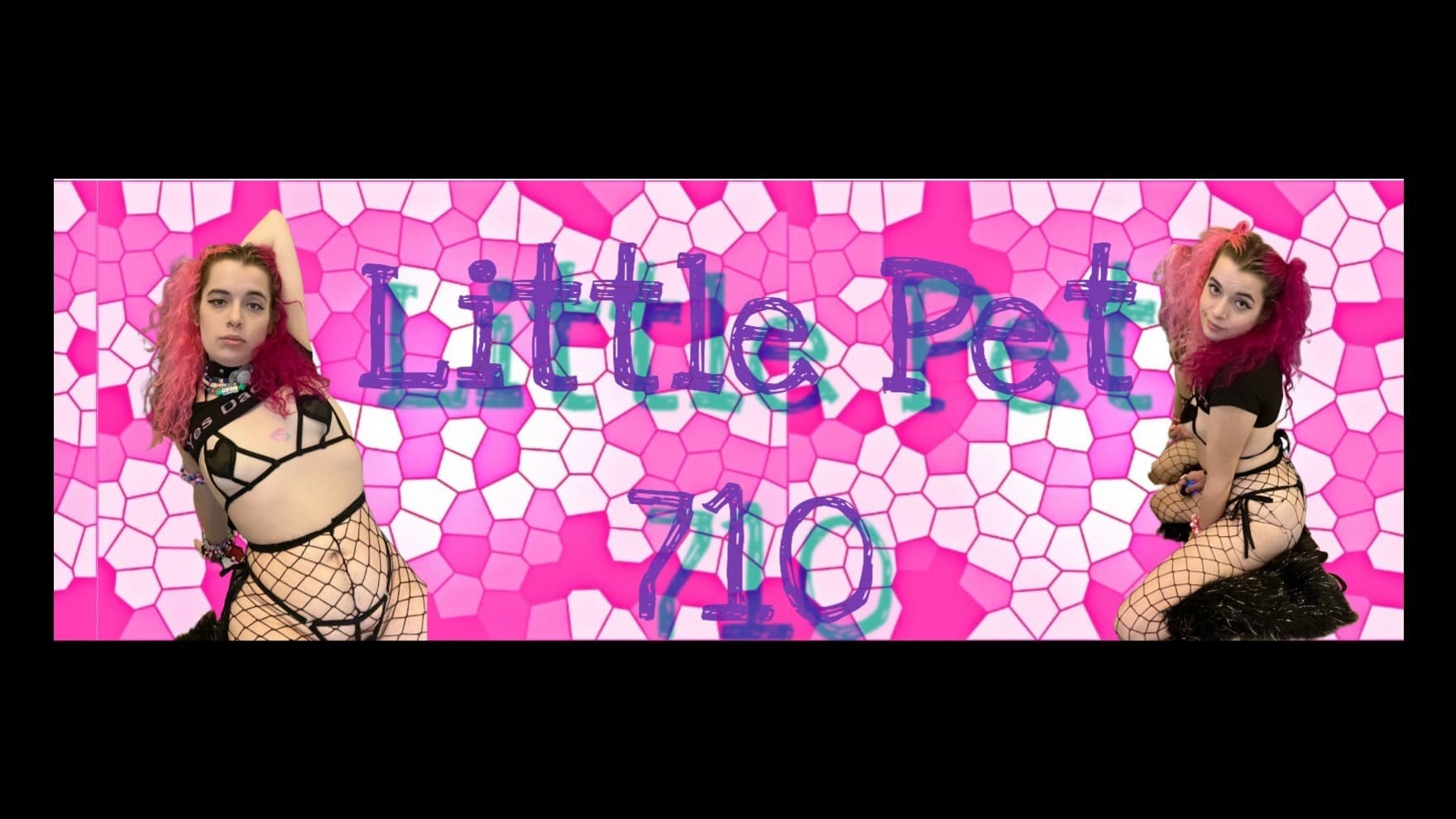 free.little.pet.710 banner image