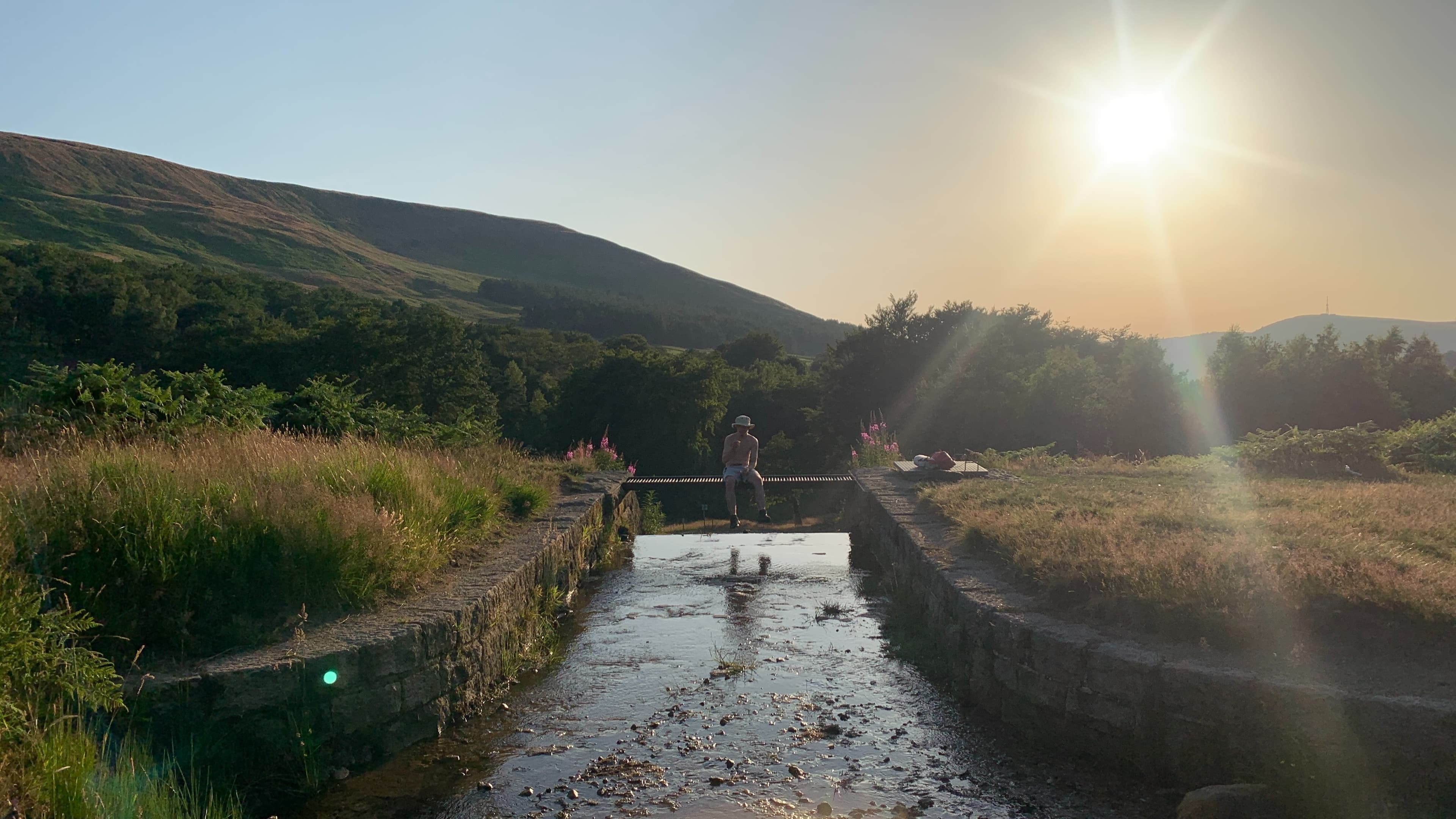 Lush Noah banner image