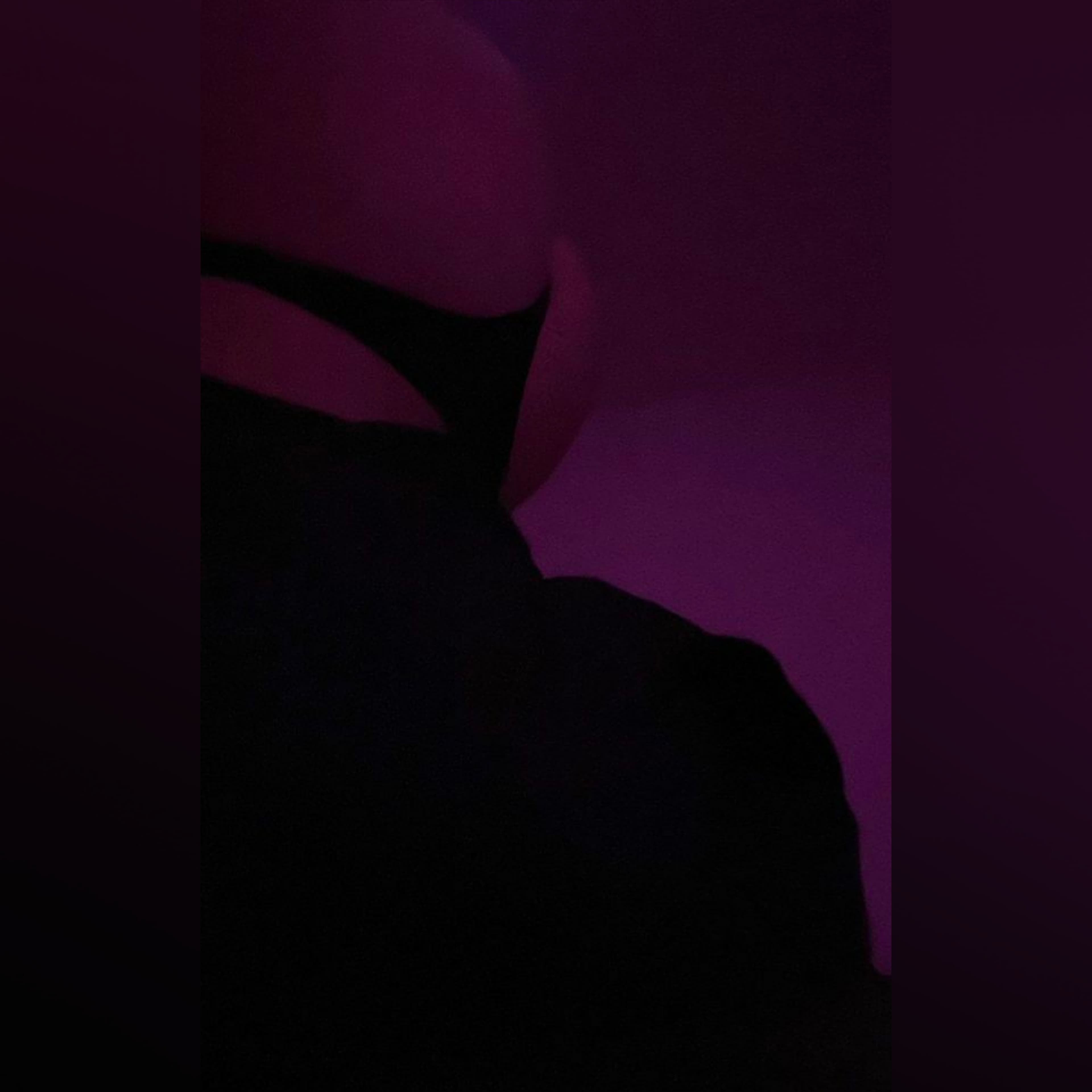 Daniiiiiii banner image