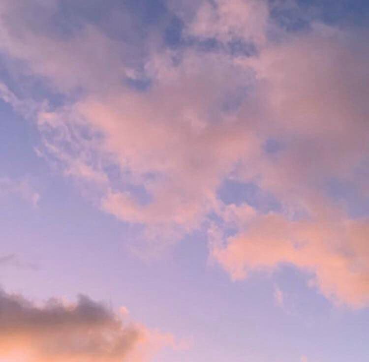 Ballerina Toes banner image