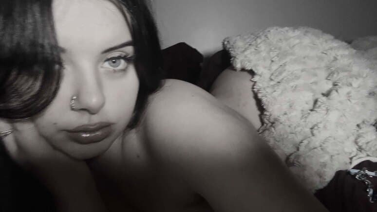 brookie banner image