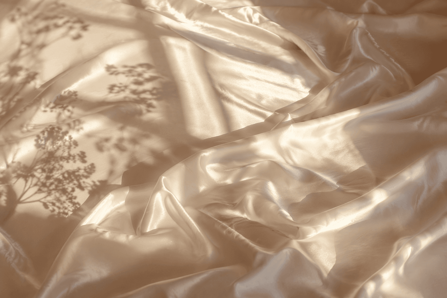 SoftFeetDesire ⭐ banner image