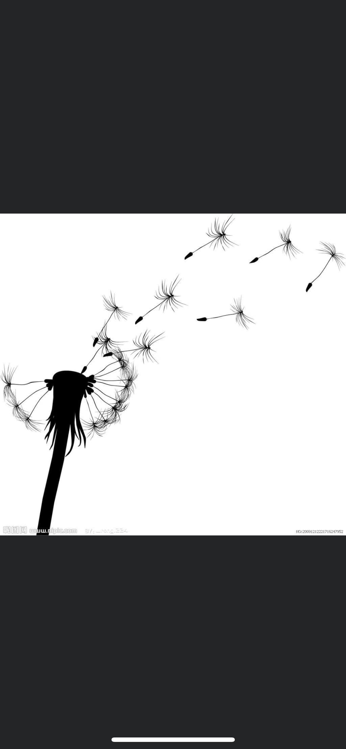 BBWqu33n95 banner image