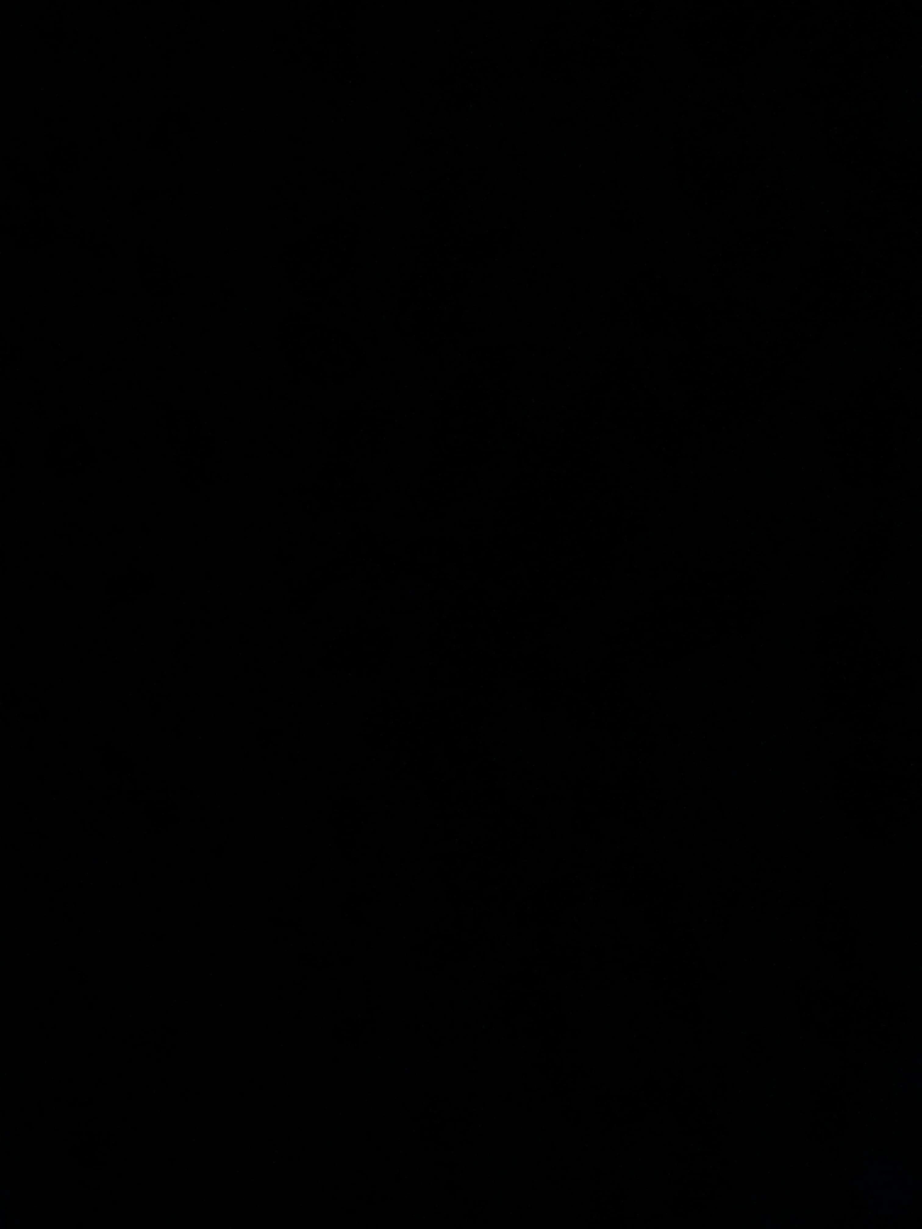 alexa rose valentine banner image