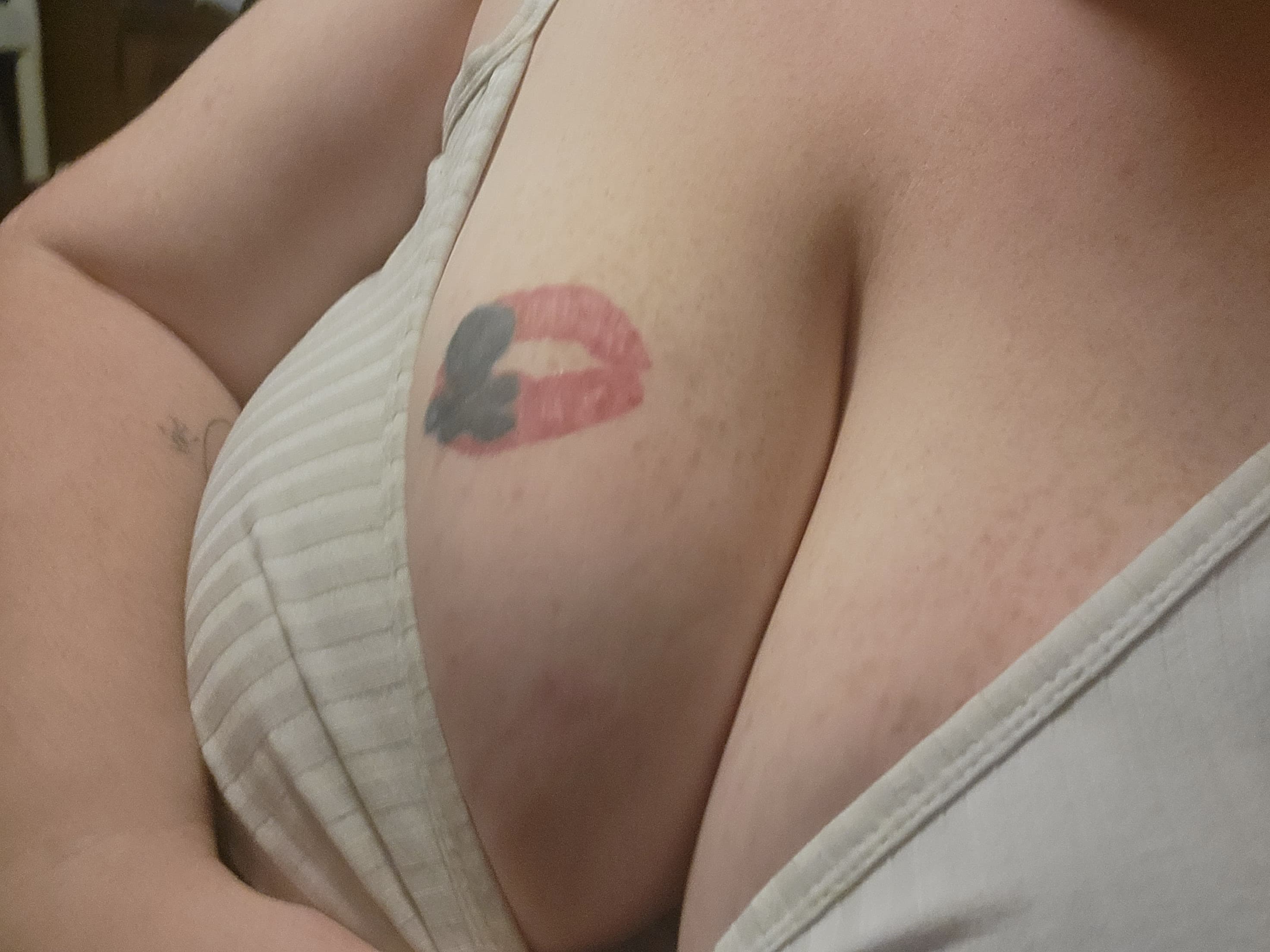 ChubbyKitty banner image