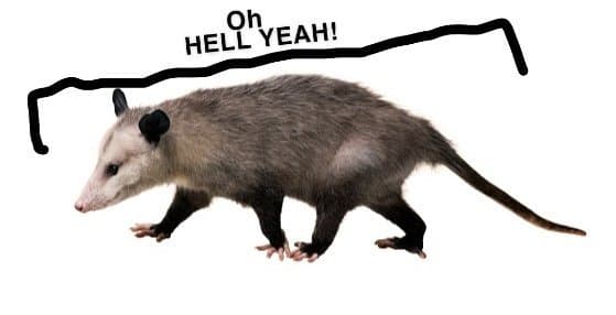 Umyum banner image