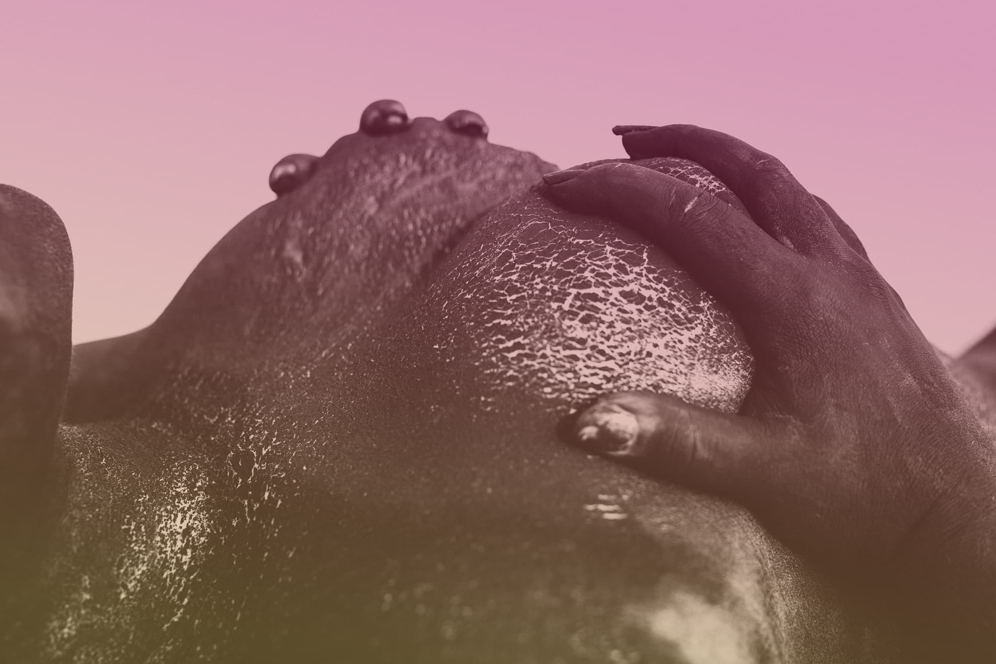 Giulia Kitten banner image