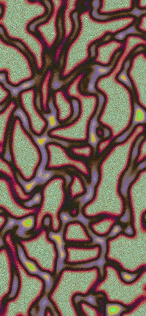 Molly banner image