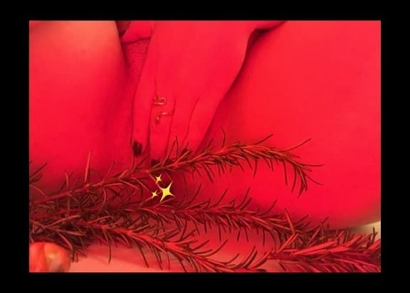 Willow banner image