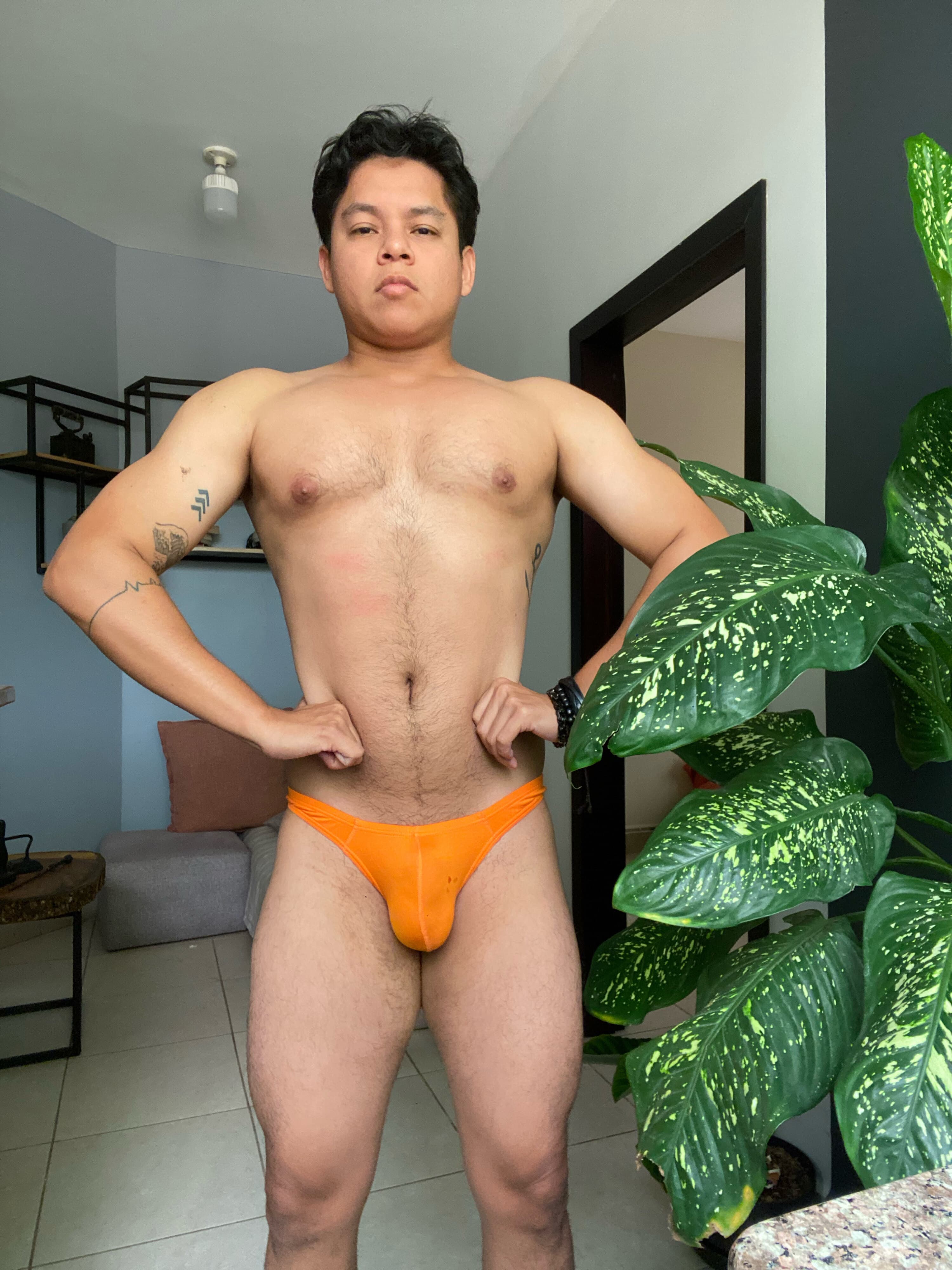 Papucho banner image