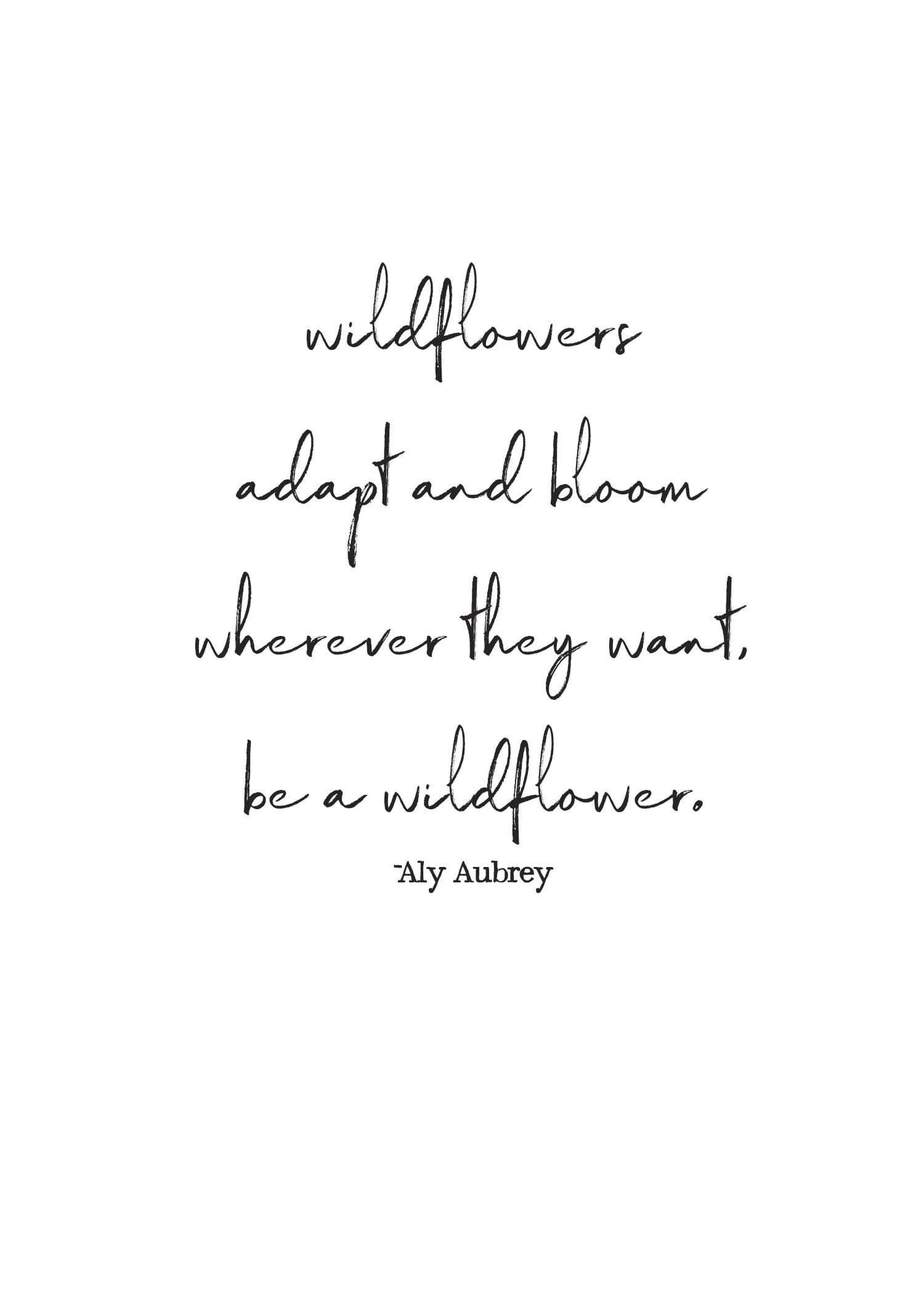 Wildflowers banner image