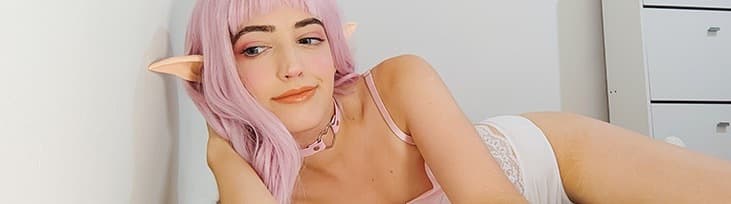 SilverSylph banner image