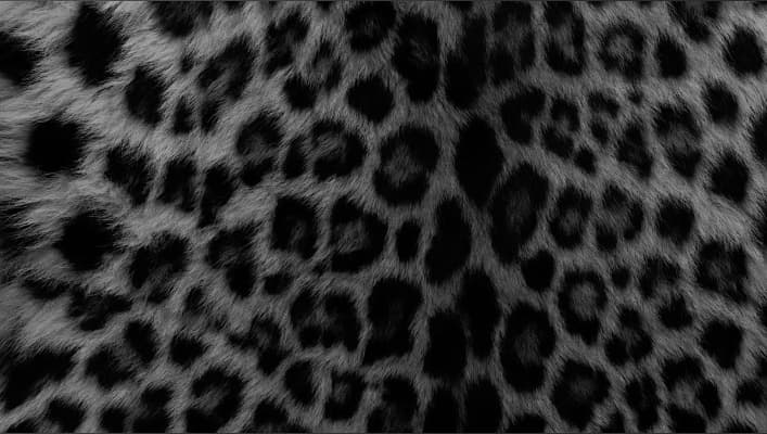 Mac Baxter banner image
