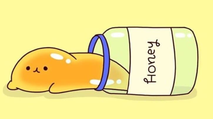 ๐Saylor Honey ๐ฏ banner image