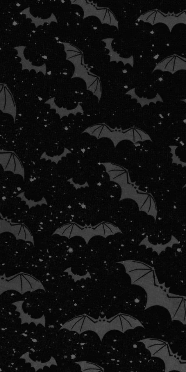 Alexis Emery π©΅π¦ banner image