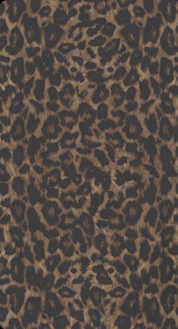 Addy banner image
