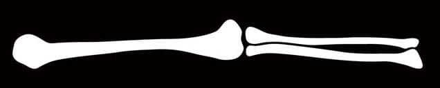 Kickingskate banner image
