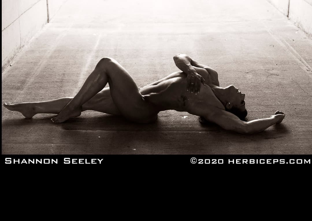 Shannon Seeley banner image