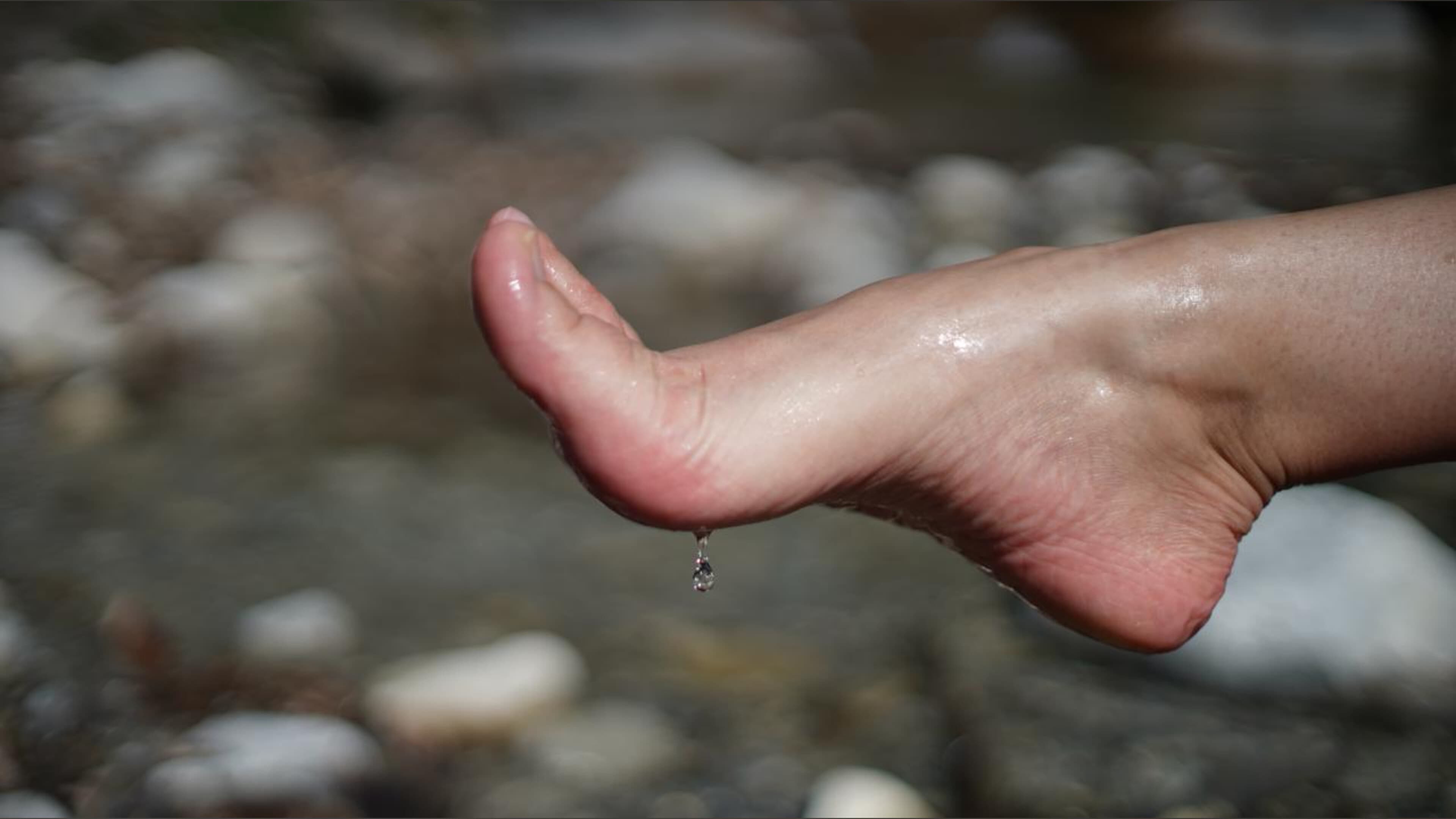 Marie Feet banner image