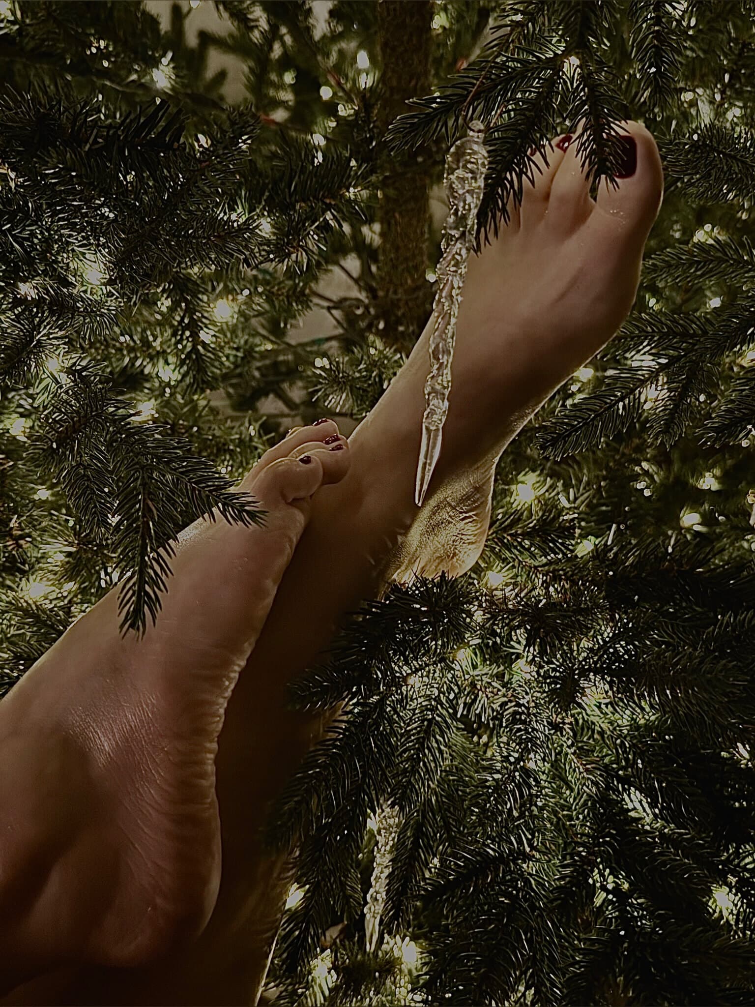 Evelina banner image