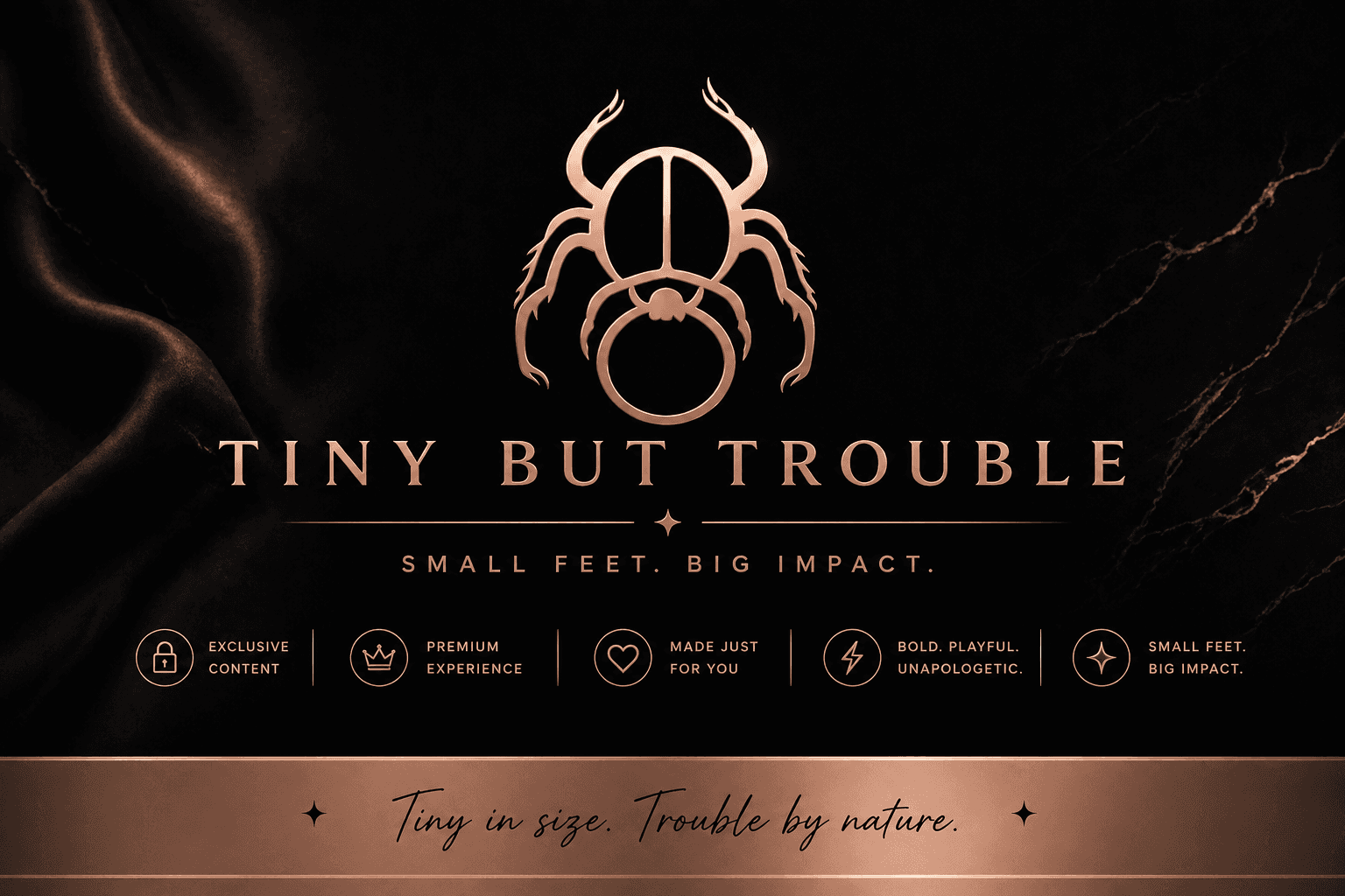 TinyButTrouble banner image