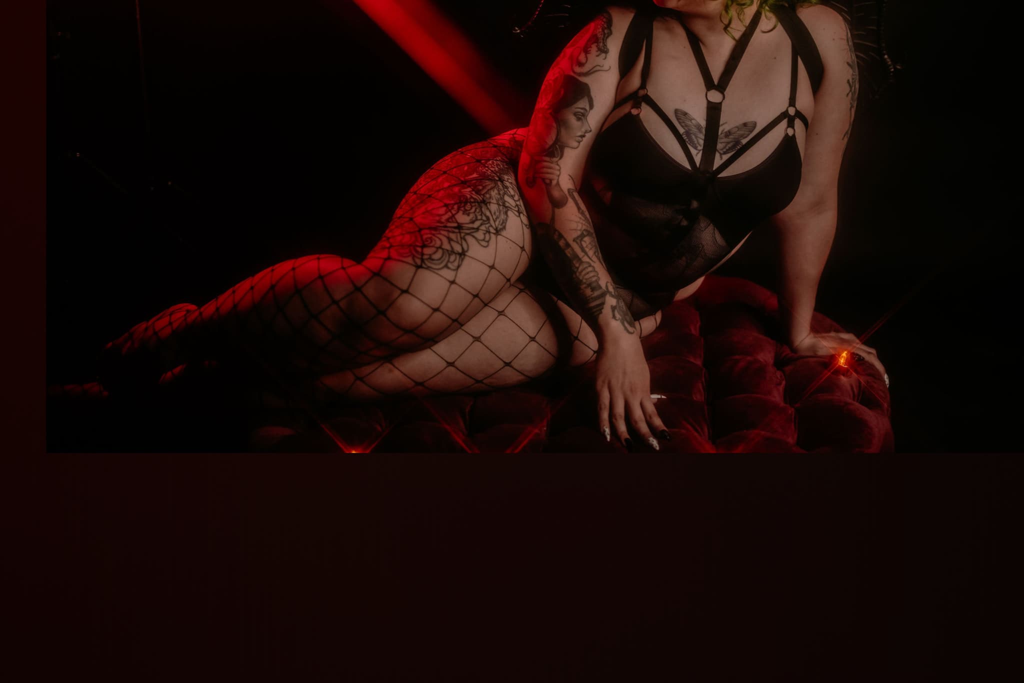 Nova Moth banner image