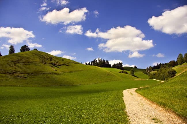 lukeb1 banner image