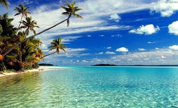 NaughtybynatureFreepage banner image