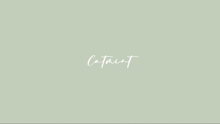Catmint🌿薄荷 banner image
