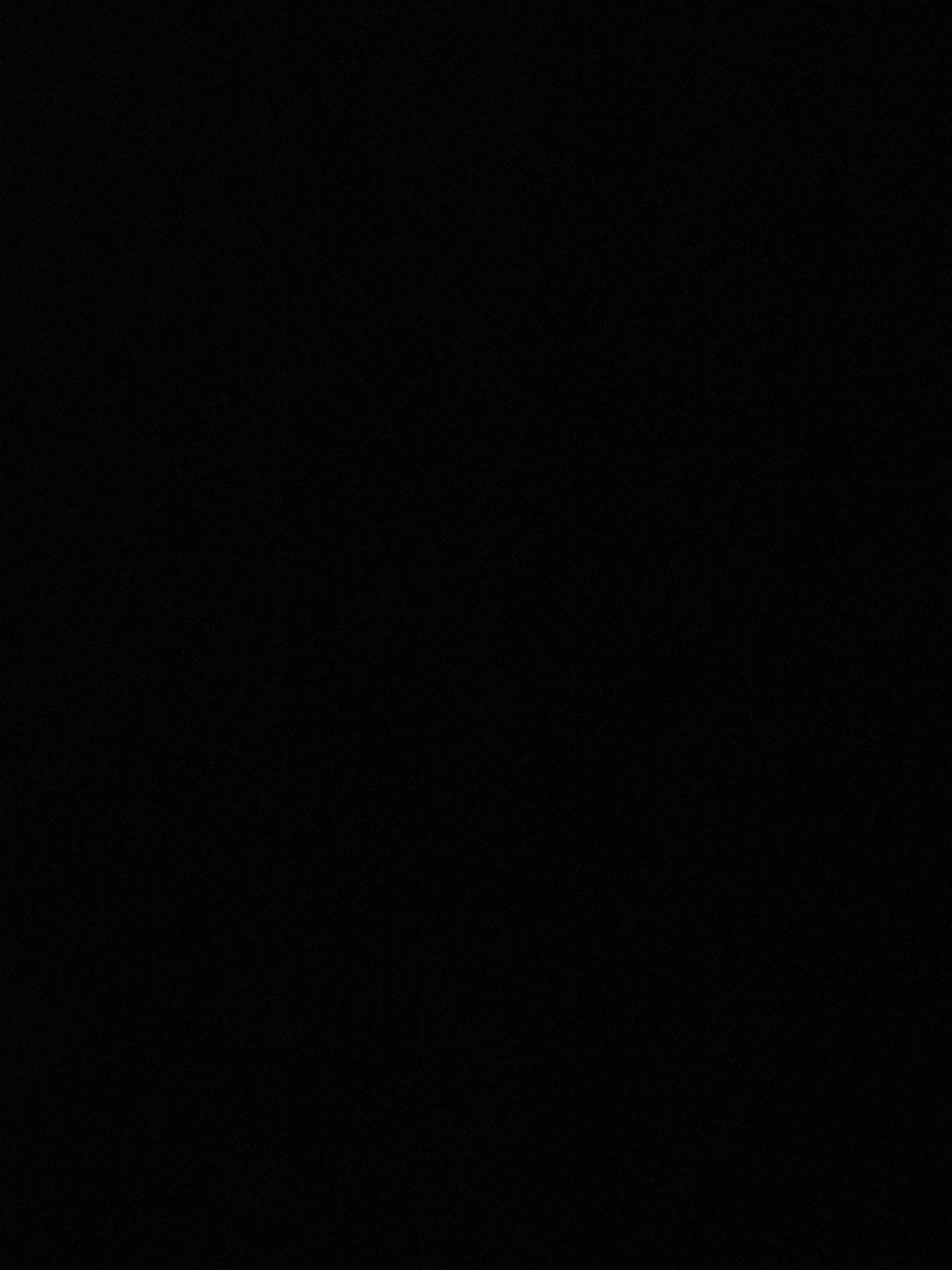 Chanel Stone banner image