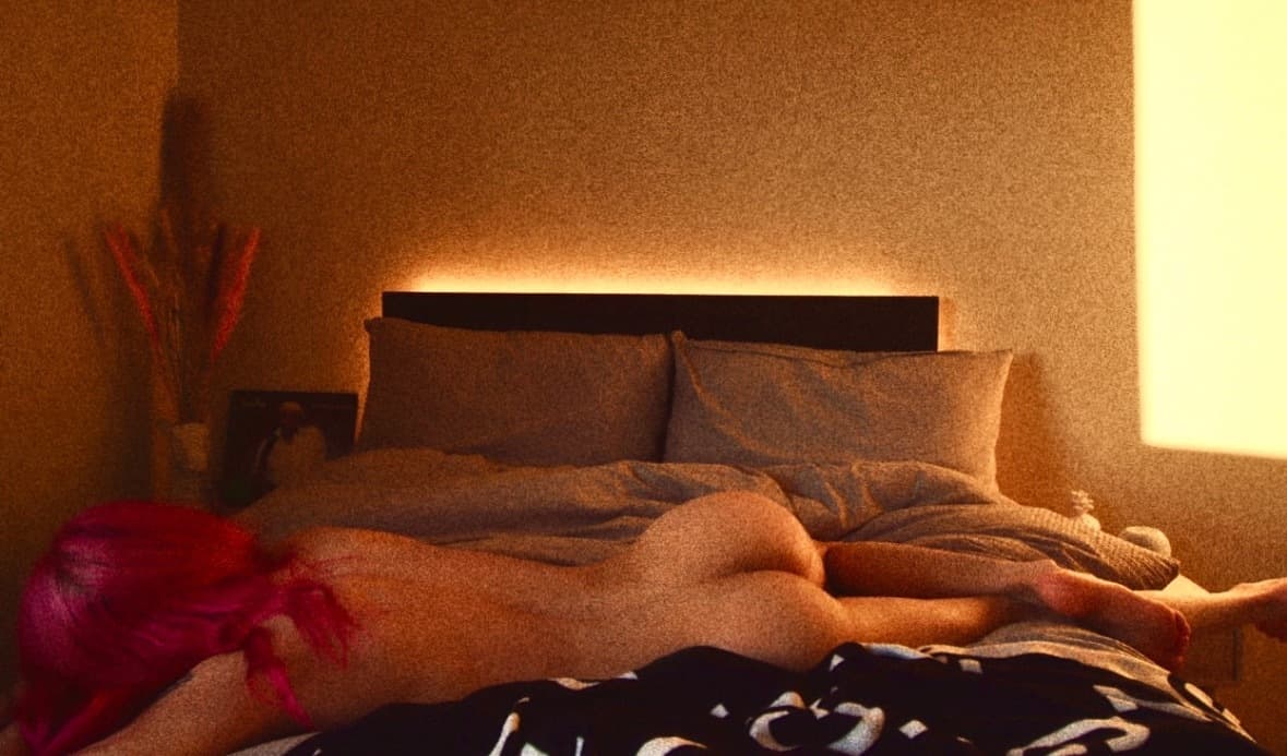 Norwegian Porn⭐️ (19) banner image