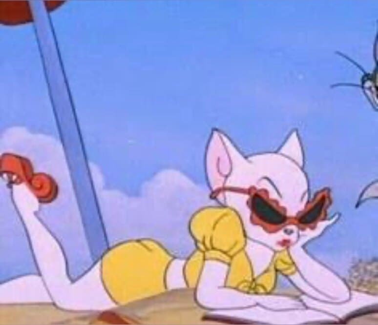 Gatita🎀 banner image